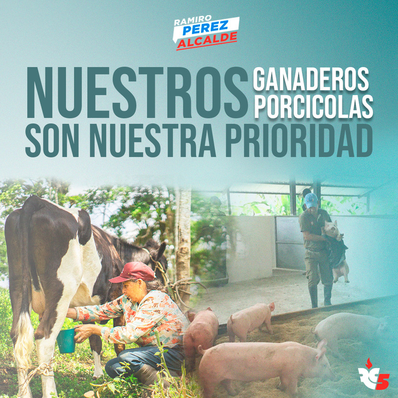 Digitalizar Servicios APP