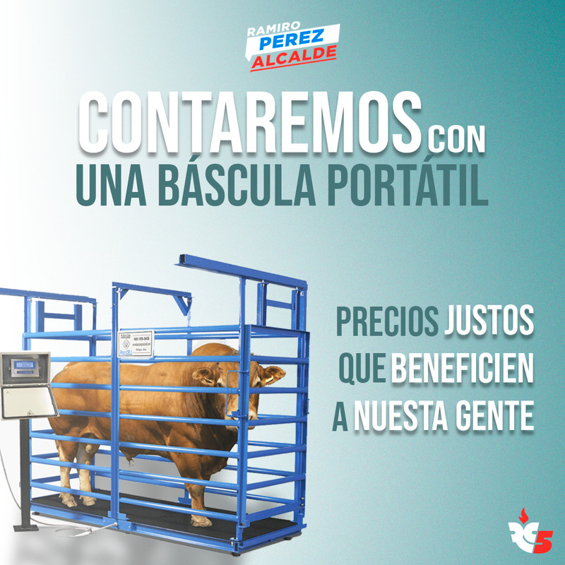 Digitalizar Servicios APP